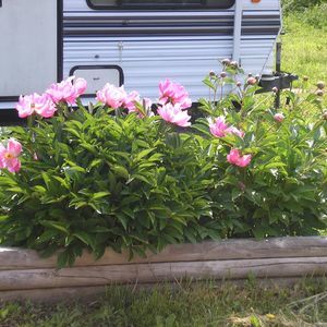 Meet your Posher, Sharon